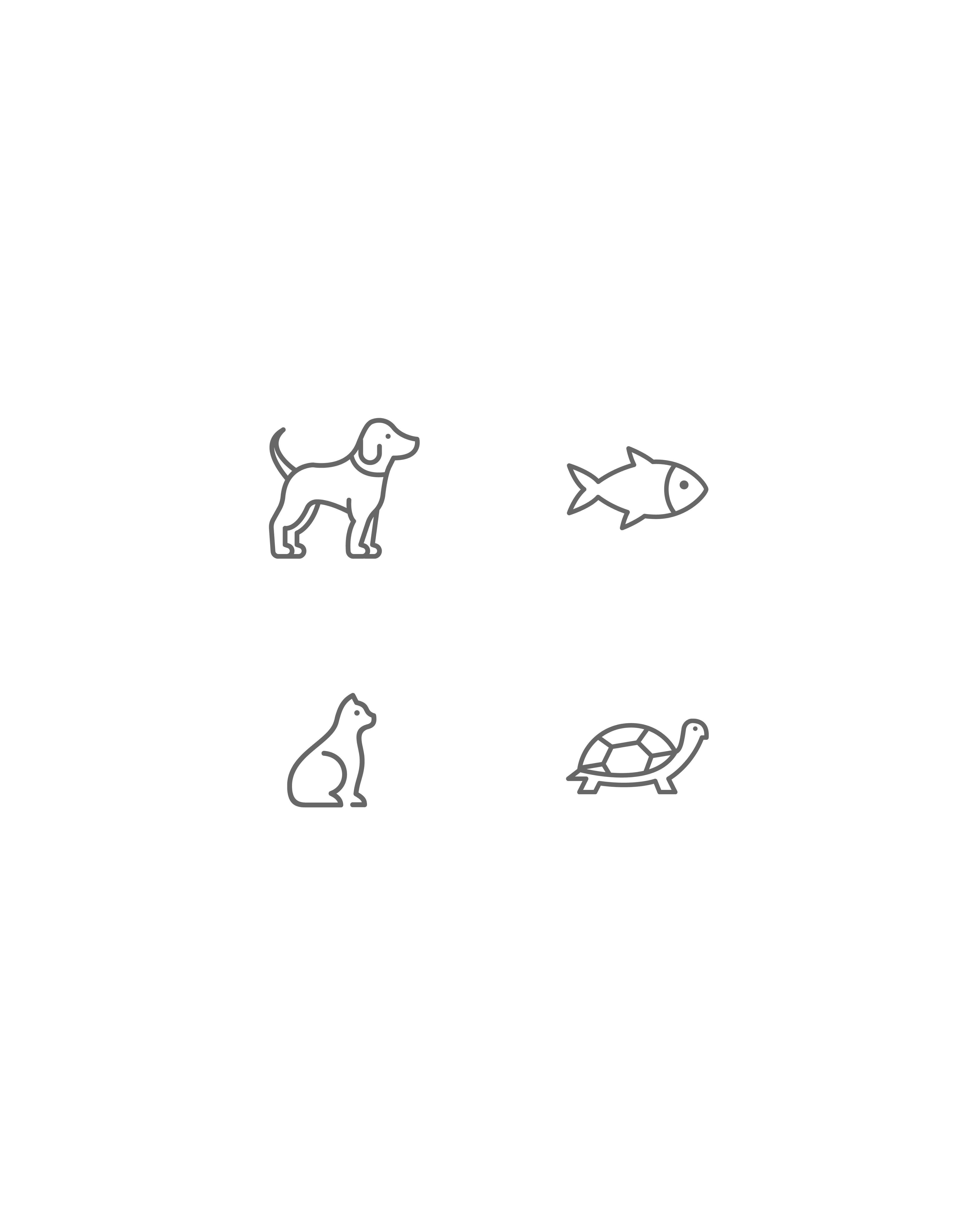 icoontjes van een hond, een vis, een kat en een schildpad